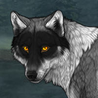 Wolf Headshot