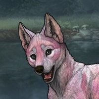 Pink Pup Headshot