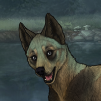 New Puppy Headshot