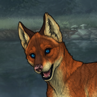 Vixen'Pup Headshot