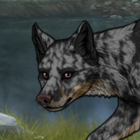 DeadShepherd Headshot