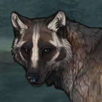 Badger's Den Headshot