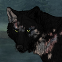 Ashen Mottled Sell Headshot