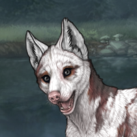 Piebald: Torn Headshot