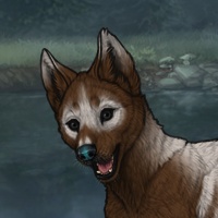 Wraithpup Headshot