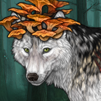 Wolf Headshot