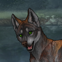 [C] Slate | 548 | Male Headshot