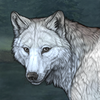 Wolf Headshot