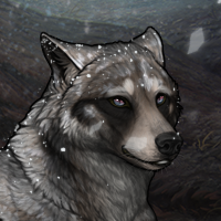 Wolf Headshot