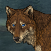 Wolf Headshot