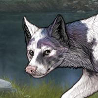 Piebald Uneven Headshot