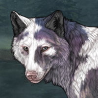 Piebald Uneven Headshot