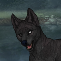 Obsidian Puppy - 1M Headshot