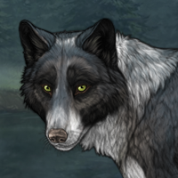 Wolf Headshot