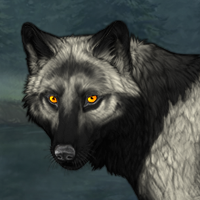 Wolf Headshot