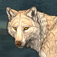 Wolf Headshot