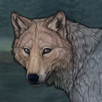 Watchful Headshot