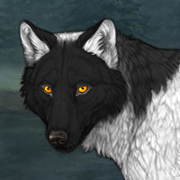 Wolf Headshot