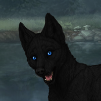 Clean Melanism - Gen 8 Headshot