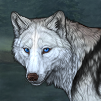 Wolf Headshot