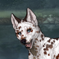 Auction Dalmation Headshot