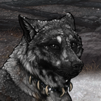 Ash Heap Headshot
