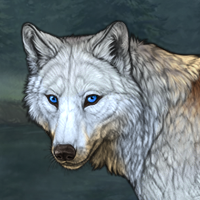 Wolf Headshot