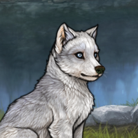 Argent Husky Headshot