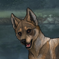 New Puppy Headshot