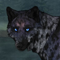 Replacement lead wolf Headshot