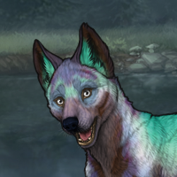 Borealis Headshot