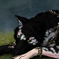 Snowflake Obsidian Headshot