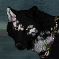 Snowflake Obsidian Headshot