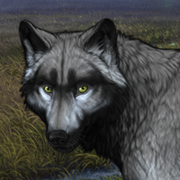 Wolf Headshot