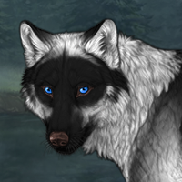 Wolf Headshot