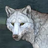 Wolf Headshot