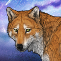 Foxfoot Headshot