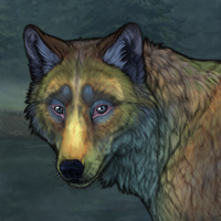 stalker badger Headshot