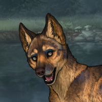 Enclave Pup Headshot