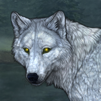 Wolf Headshot