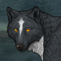 Wolf Headshot