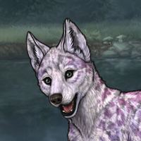 Lavender / T2 Headshot