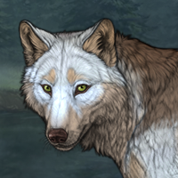 Wolf Headshot