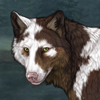 PIEBALD UNEVEN Headshot