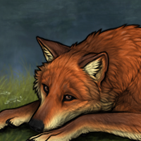 Female fox sell Headshot
