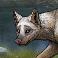 New PuppyK? Headshot
