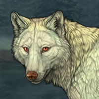 Pale Auroran Headshot