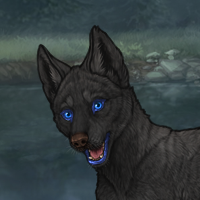 Bagheera Headshot