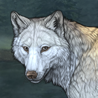 Wolf Headshot