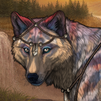 Wolf Headshot